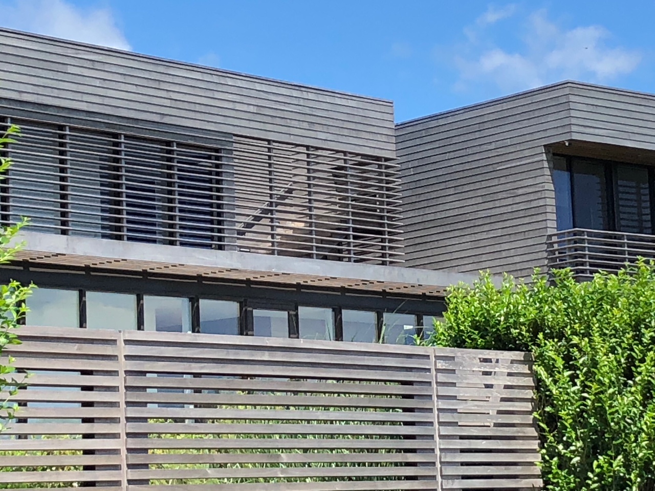 Which Wood Siding Species Develop a Natural Silver-Gray Patina? A Weathering Science Guide